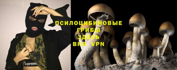 герыч Дмитров
