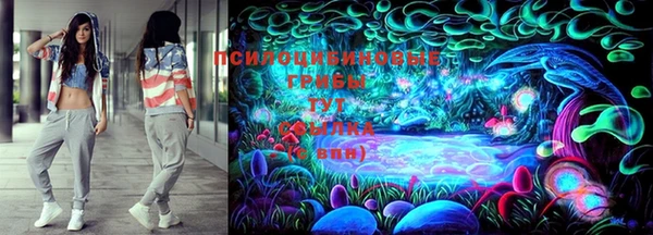 герыч Дмитров