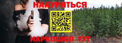 спайс Гагарин