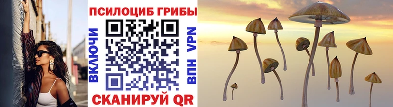 Галлюциногенные грибы Psilocybine cubensis Зеленокумск