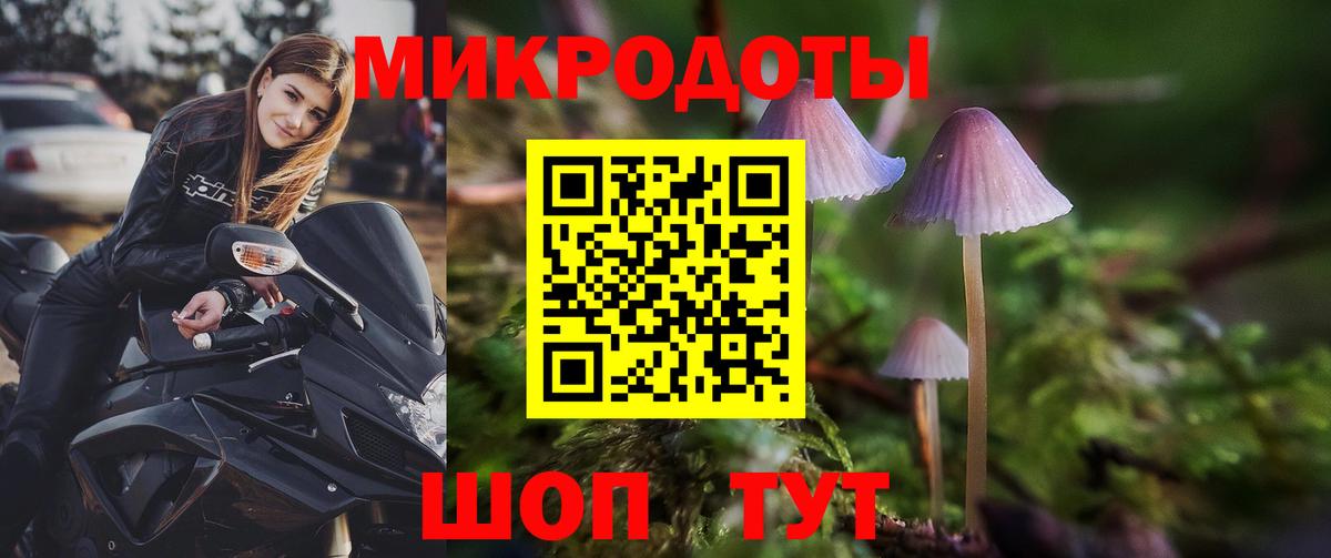 Псилоцибиновые грибы GOLDEN TEACHER  Вход с VPN  где продают   Зеленокумск 